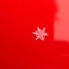 cswinter20